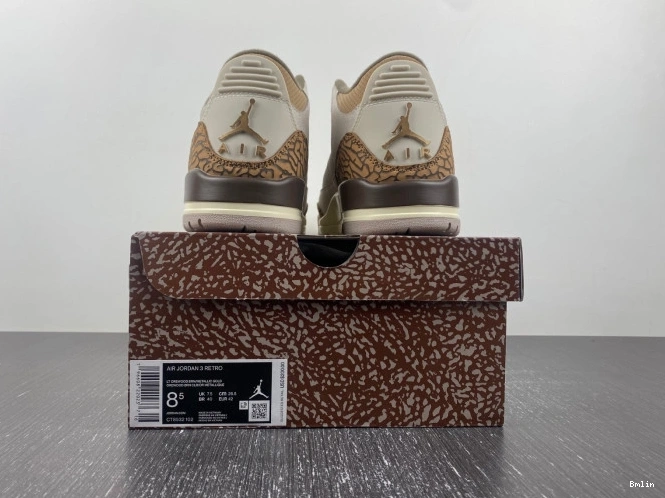Bmlin Palomino 3 Air Jordan CT8532-102 0821